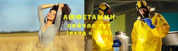 молекула духа Галич