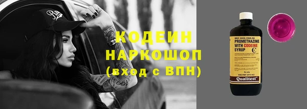 индика Армянск