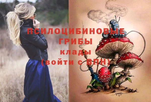 кокс Арсеньев