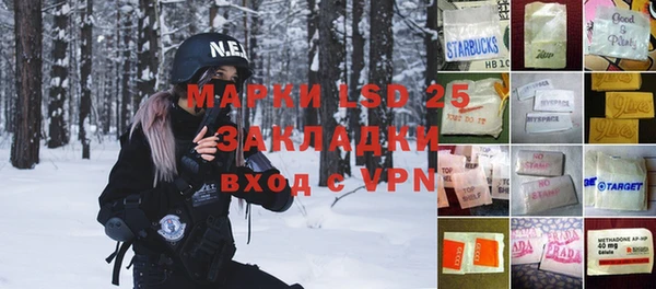 молекула духа Галич