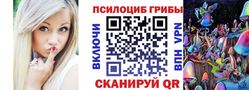 купить   Кашин  Галлюциногенные грибы ЛСД 